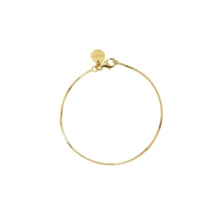 Armband Sheer Mirror Guld