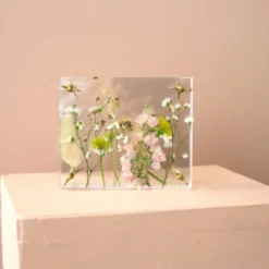 Blompress Ängsfälla