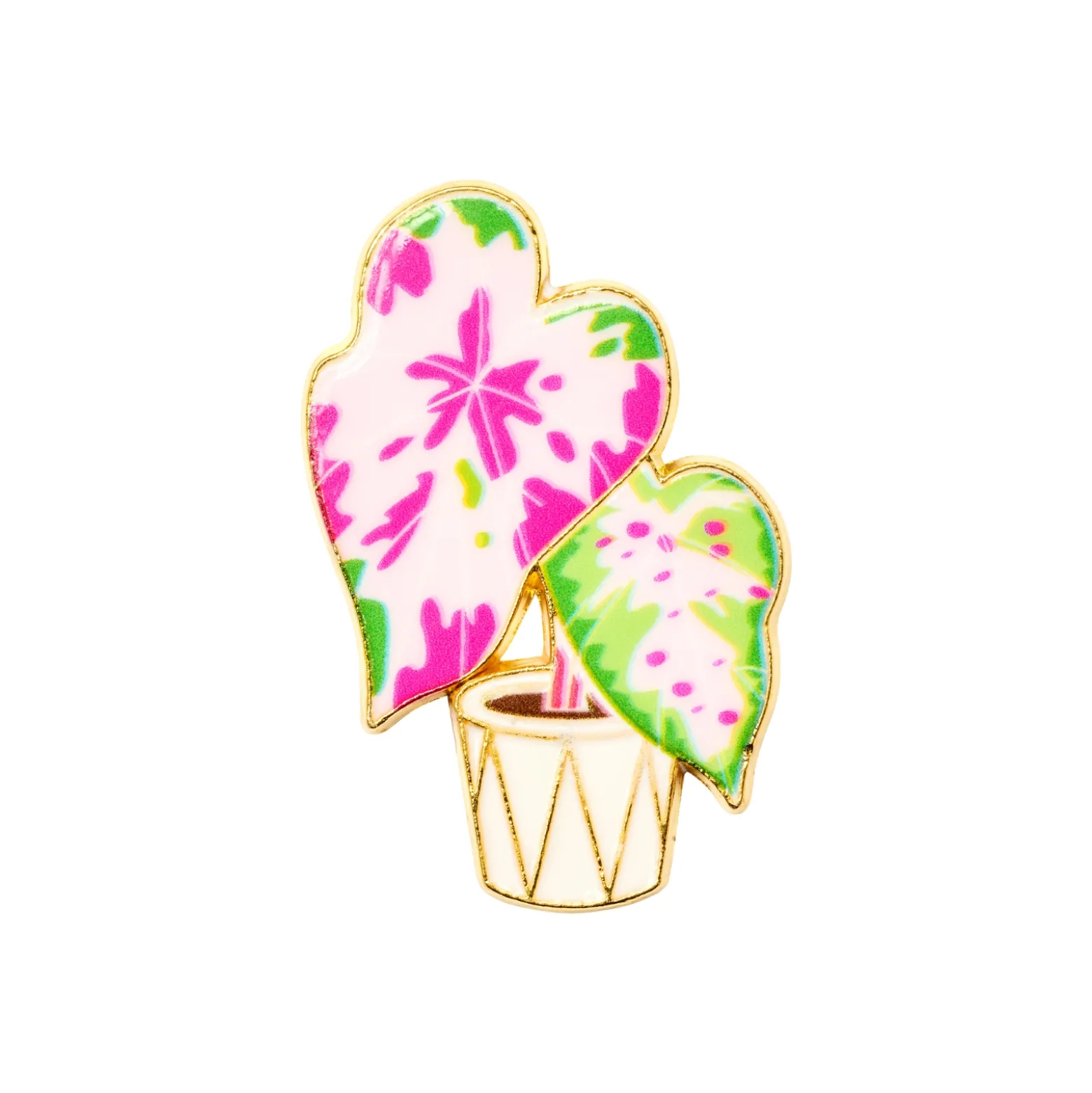 DRMZ Pink Monstera