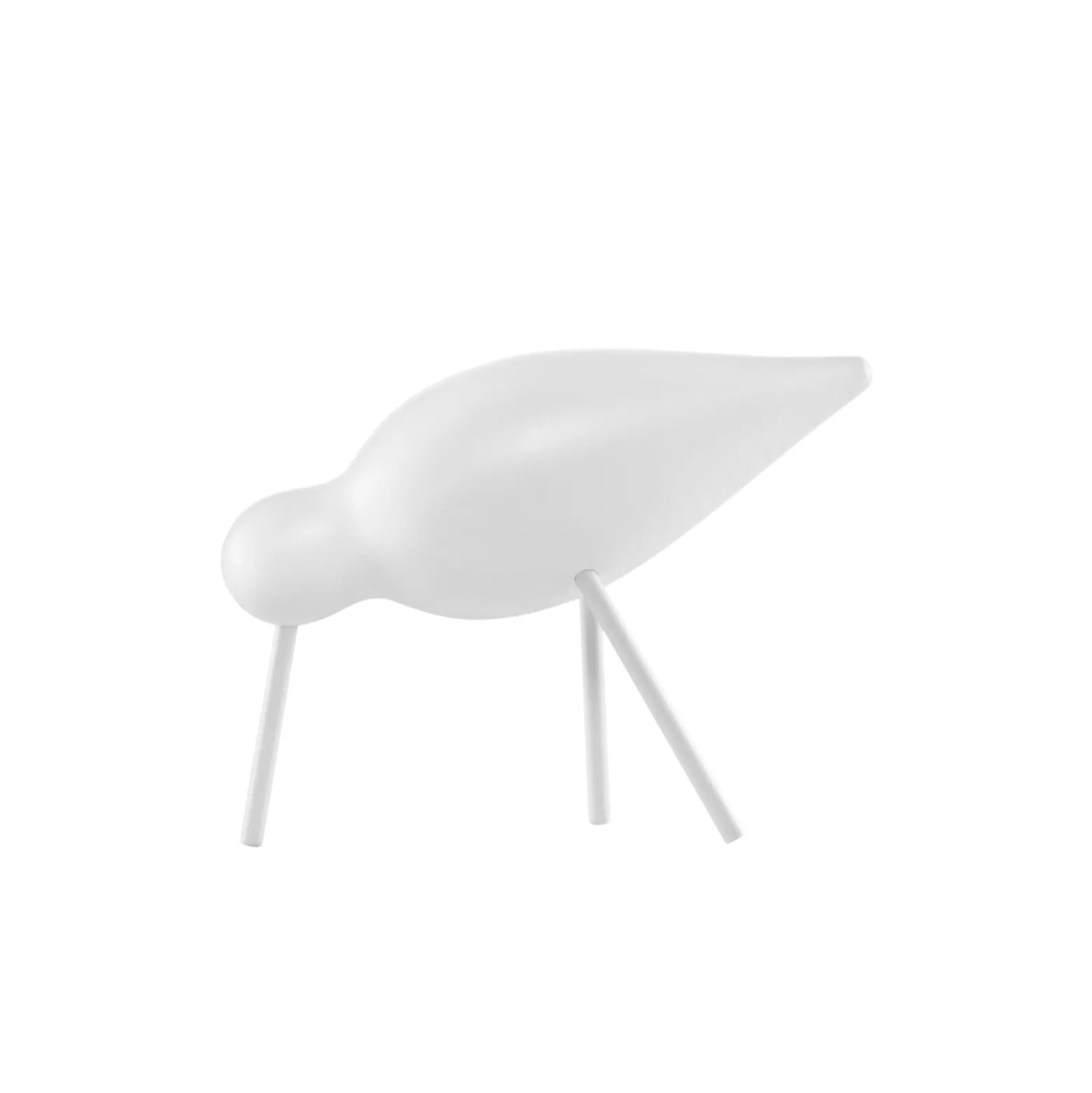 Fågel Shorebird Medium Vit