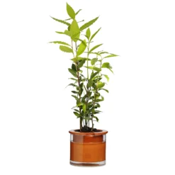 Kruka Wet Pot Small