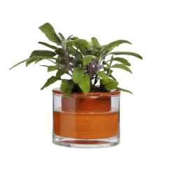 Kruka Wet Pot XS