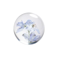 Pappersvikt Bleu Riddarsporre 8 cm