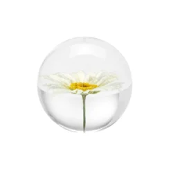 Pappersvikt Daisy Prästkrage 7 cm