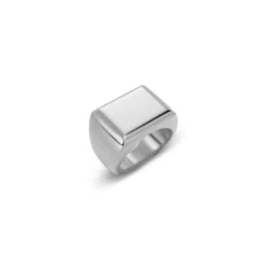 Ring Cole Signet Stål