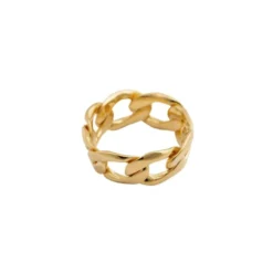 Ring Links Curb Chain Guld