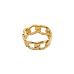 Ring Links Curb Chain Guld 17mm