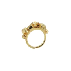 Ring Sten guld
