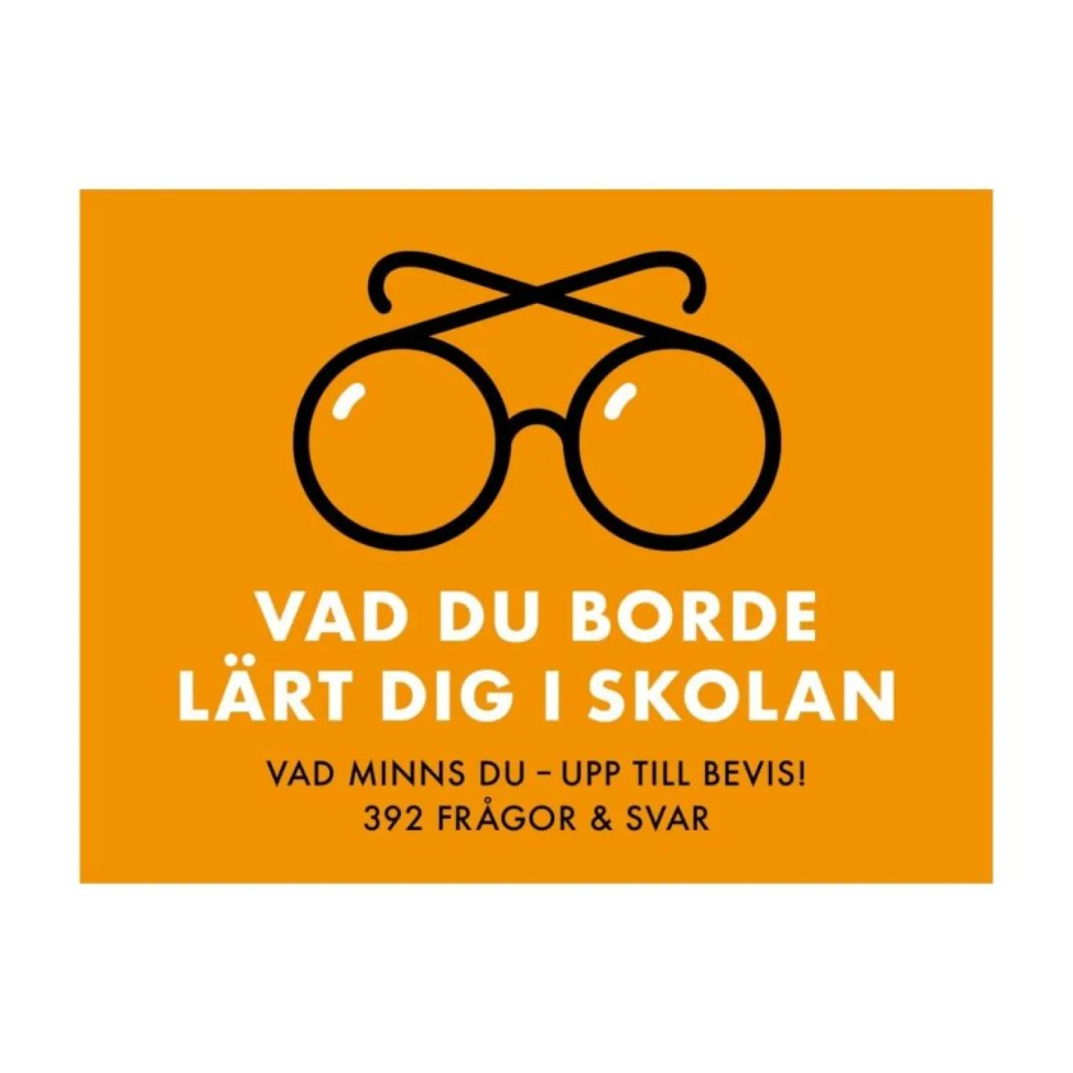 Spel Vad du borde lärt dig i skolan