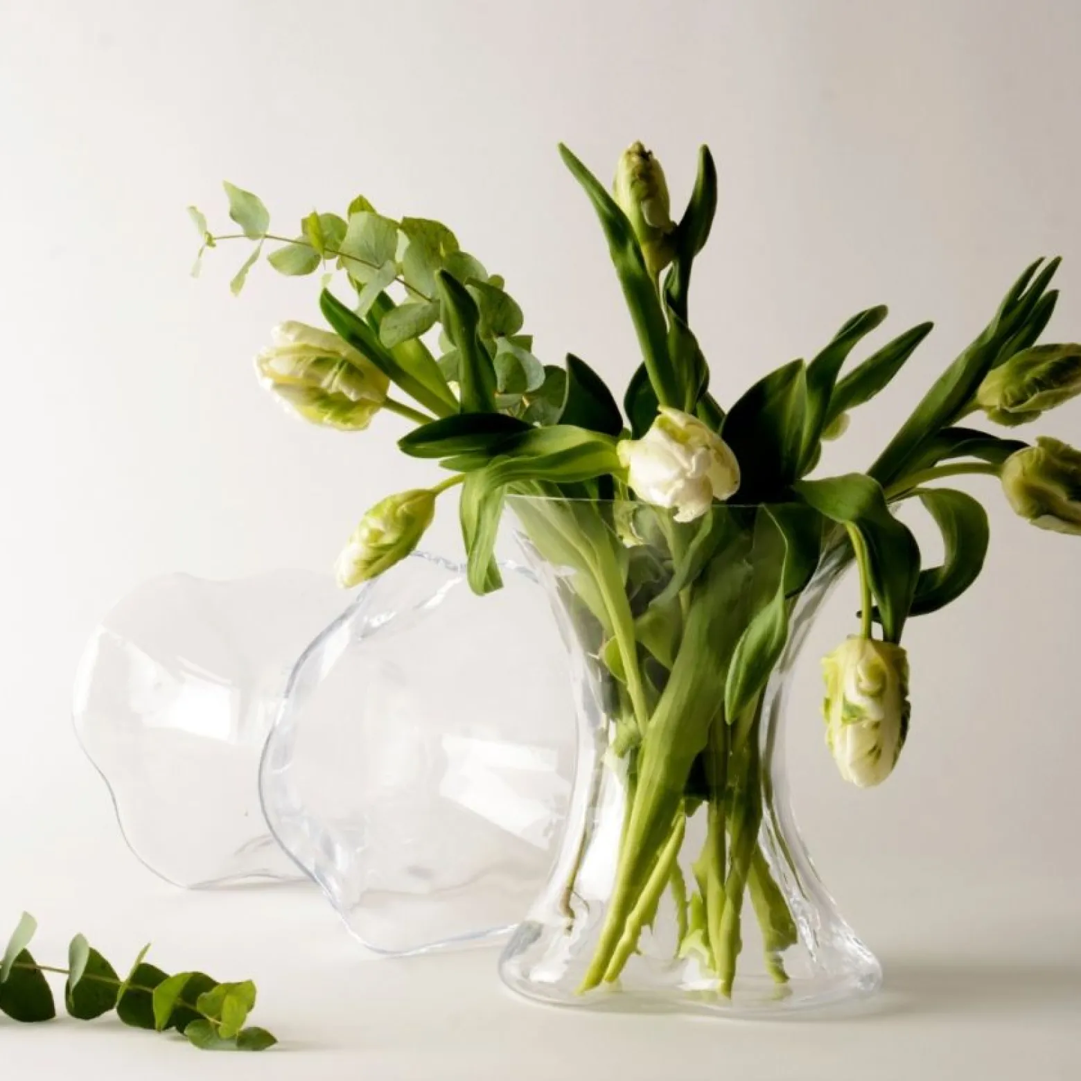 Vas Tulpe